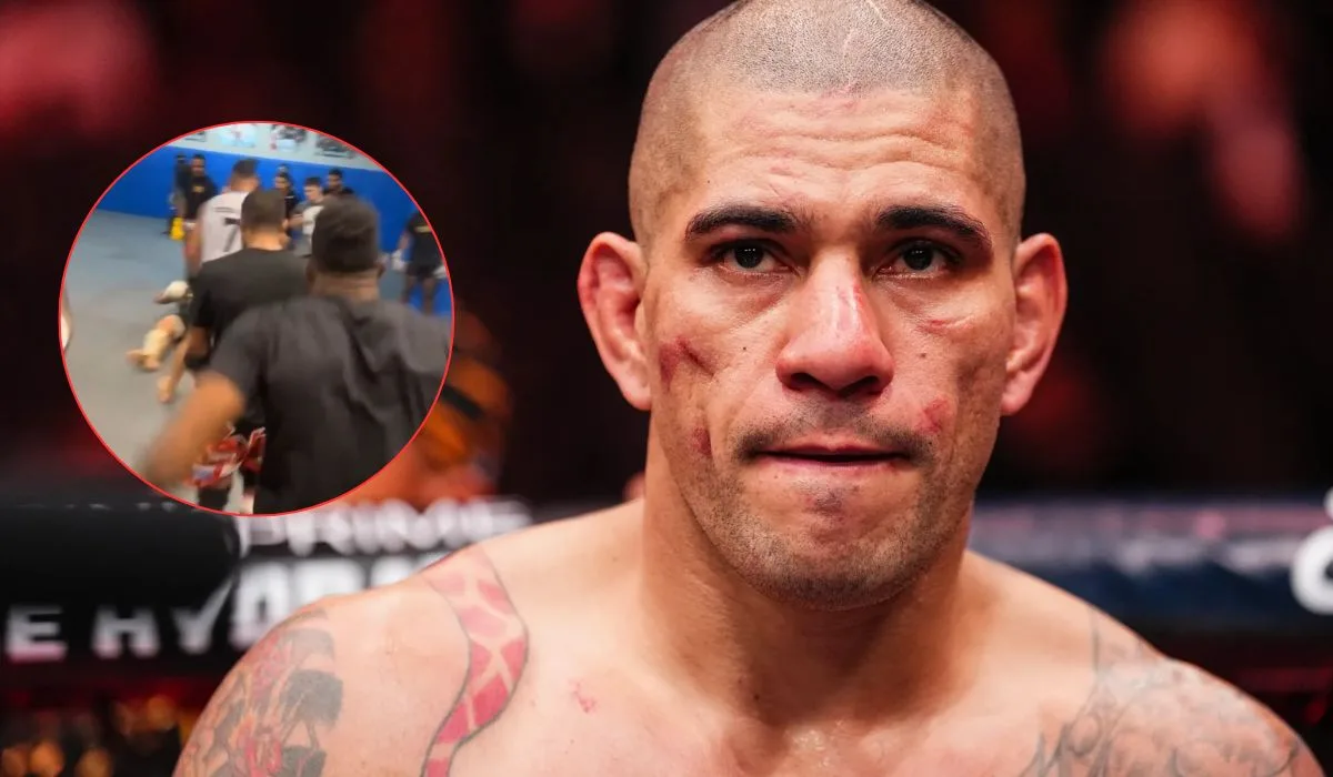 Alex Pereira znokautował sparingpartnera! Wszystko na oczach kolegów [WIDEO]