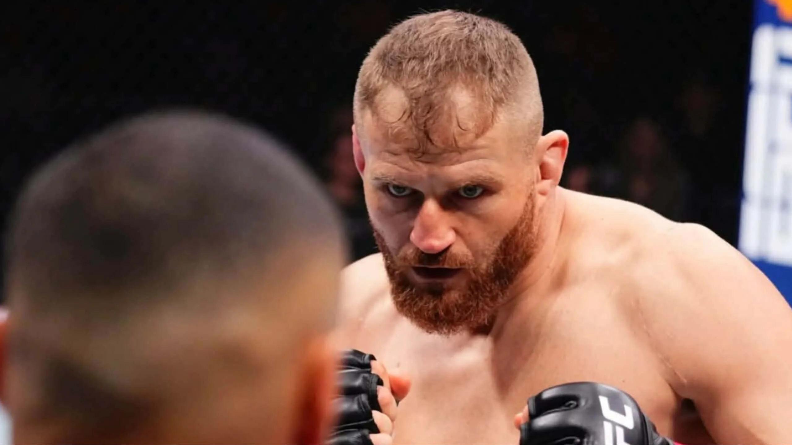 Jan Błachowicz zabiera głos przed Sylwestrem. Mocny apel w obronie zwierząt