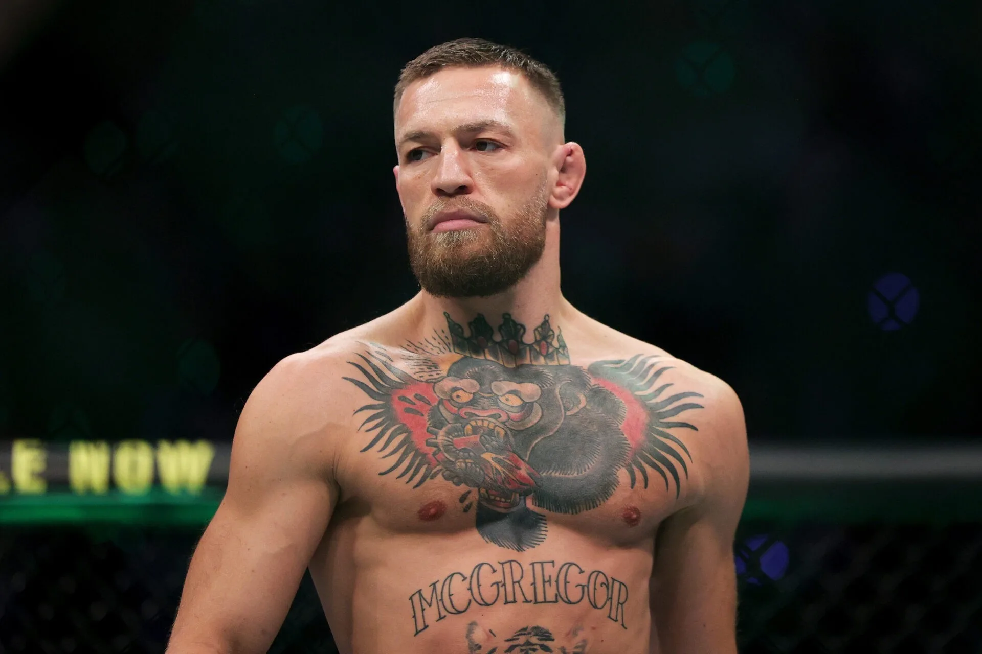 Gigantyczny posąg Jezusa w Irlandii? Conor McGregor z ambitną inicjatywą