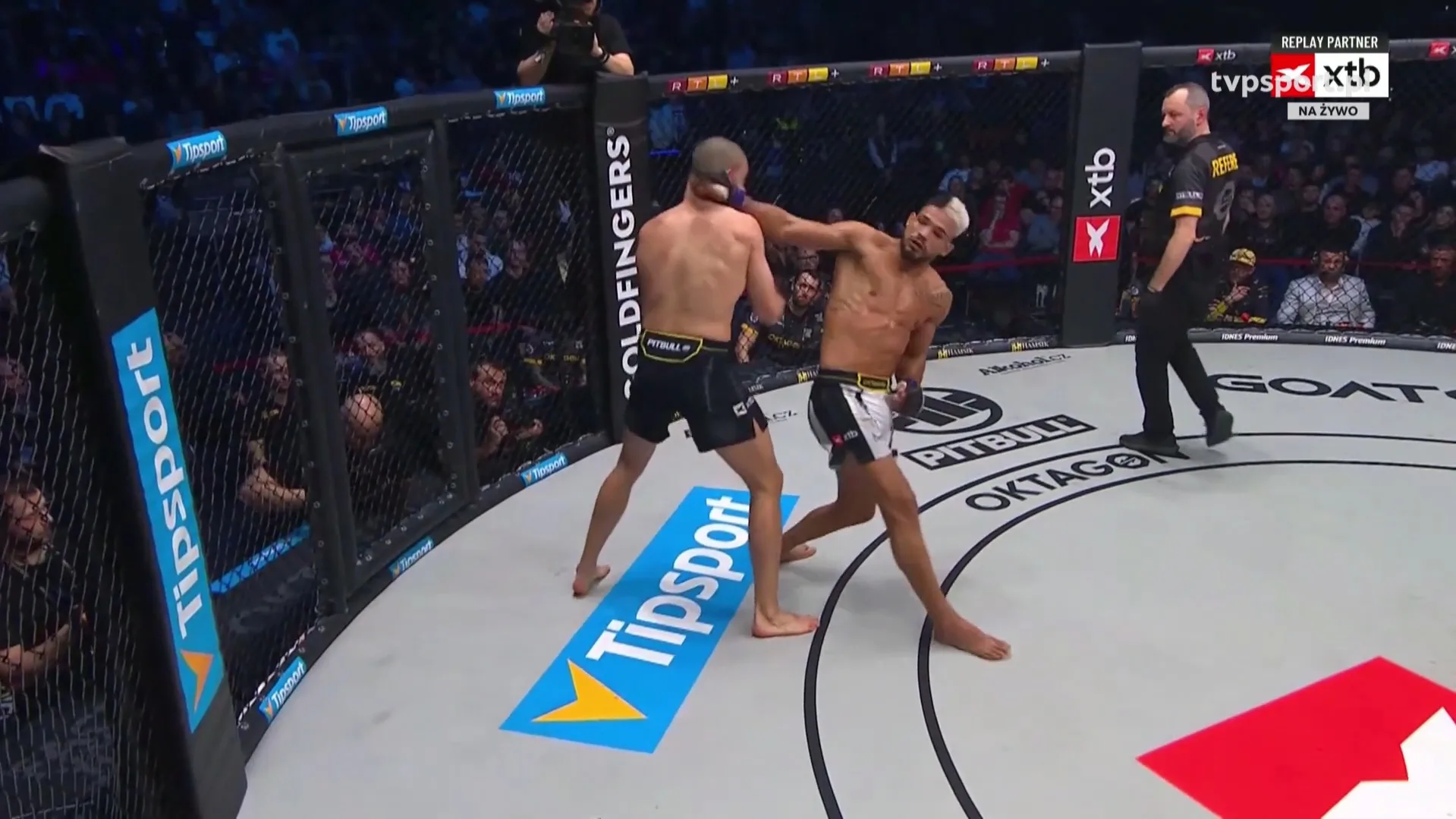 Kaik Brito zdobył pas po spektakularnym nokaucie na OKTAGON 84 [WIDEO]