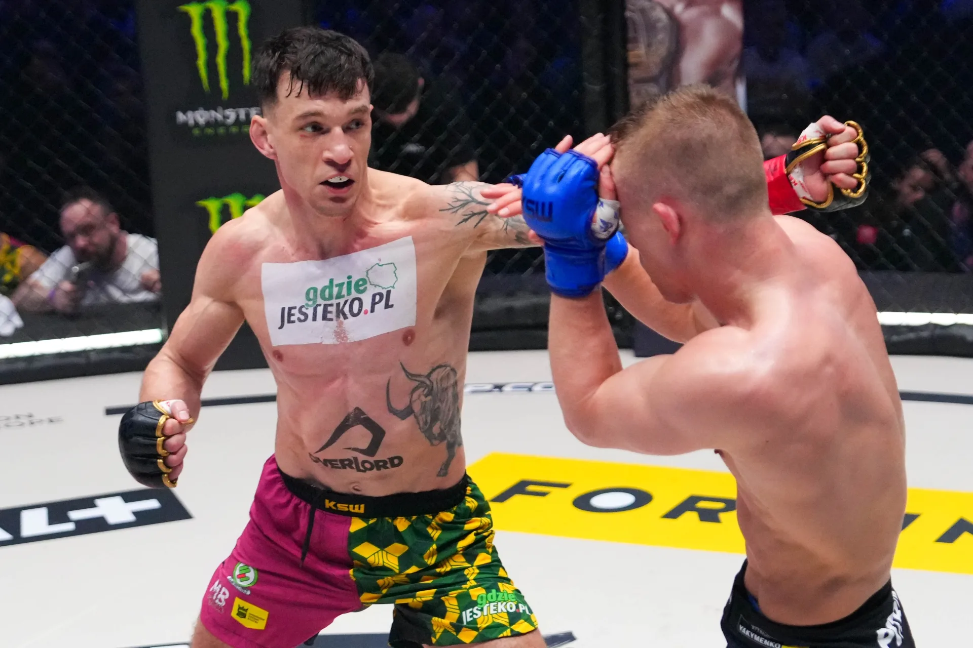 Szukajmy pozytywów. Podsumowanie KSW 115