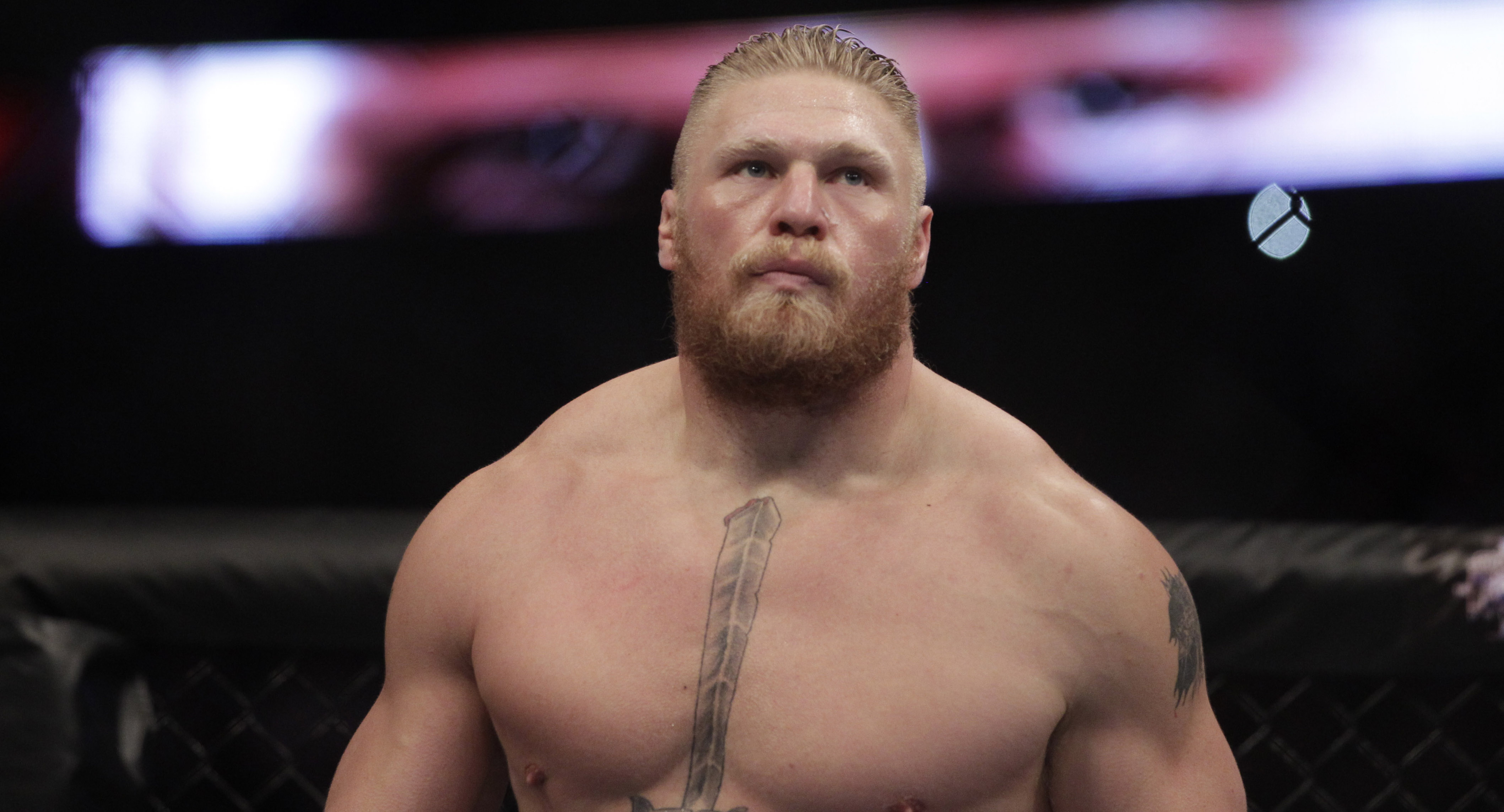Brock Lesnar ponownie w oficjalnym rankingu UFC! Zobacz na którym jest