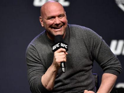 UFC ogłosiło kalendarz gal na drugą połowę roku 2019