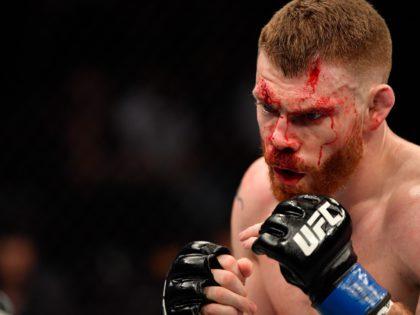 UFC 242: Krwawa wojna Barbozy i Feldera! Amerykanin bierze rewanż!