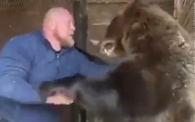 Kolejny zawodnik MMA siłuje się z niedźwiedziem