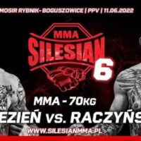 Silesian MMA 6