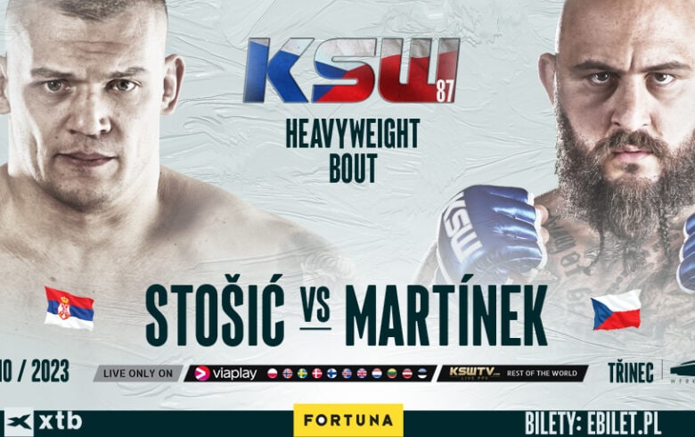 Darko Stosic vs. Michal Martinek